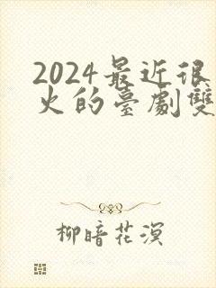 2024最近很火的台剧双男主