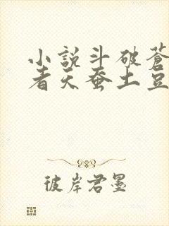 小说斗破苍穹作者天蚕土豆