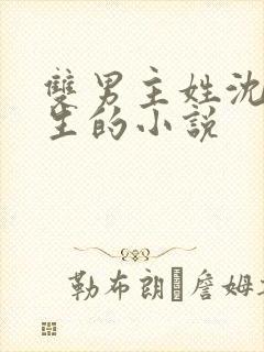 双男主姓沈是重生的小说