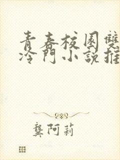 青春校园双男主冷门小说推荐