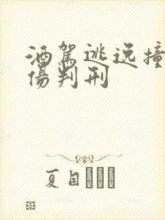 酒驾逃逸撞人轻伤判刑