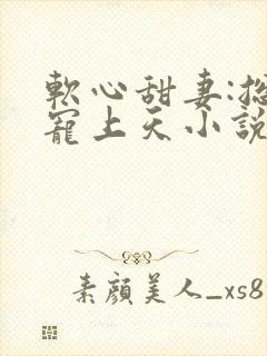 软心甜妻:总裁宠上天小说读