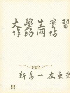 大学生实习找工作的网站