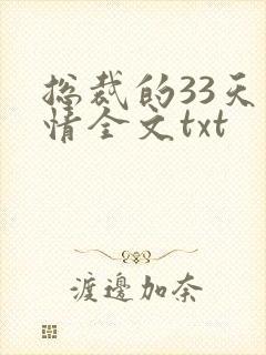 总裁的33天索情全文txt