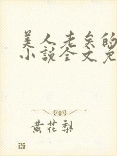 美人老矣的原著小说全文免费阅读