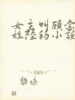 女主叫顾念男主姓陆的小说