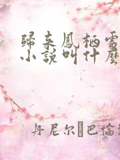 归来凤栖处原著小说叫什么名字