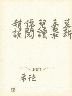 赵锦儿秦慕修小说阅读最新