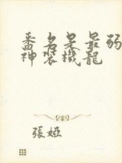 番名是最弱无败神装机龙