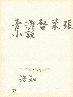 青涩启蒙张勇的小说