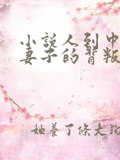 小说人到中年:妻子的背叛免费阅读全文