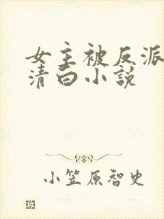 女主被反派毁了清白小说