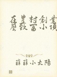 在农村创业有什么致富小项目