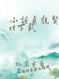 小说贞观贤王txt下载