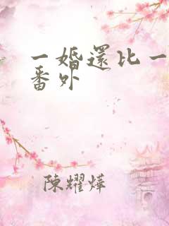 一婚还比一婚高番外