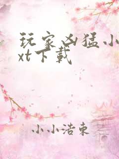 玩家凶猛小说txt下载