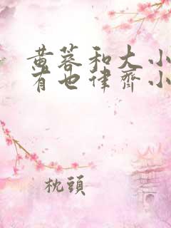 黄蓉和大小武还有也律齐小说