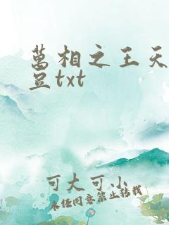 万相之王天蚕土豆txt