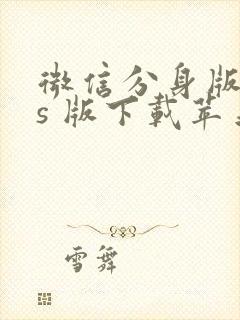 微信分身版ios 版下载苹果版