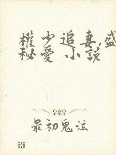 权少追妻,盛婚秘爱 小说