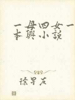 一母四女一婿胡本兴小说