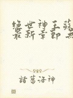 绝世神王苏莫 最新章节 无弹窗 笔趣阁