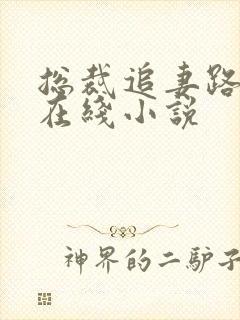 总裁追妻路漫漫在线小说