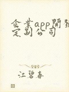 企业app开发定制公司