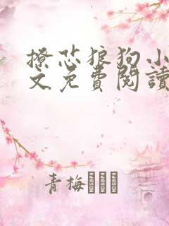 撩芯狼狗小说全文免费阅读