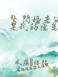 惊 闪婚老公竟是我的亿万总裁