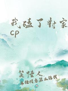 我磕了对家x我cp