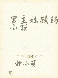 男主姓顾的言情小说