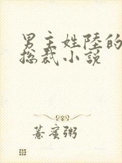 男主姓陆的所有总裁小说