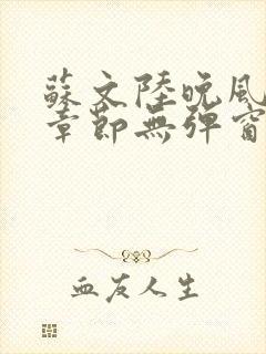 苏文陆晚风最新章节无弹窗笔趣阁