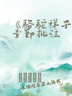 《骆驼祥子》每章节批注