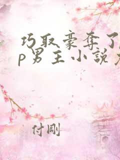 巧取豪夺了无cp男主小说免费阅读