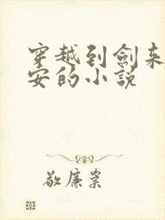 穿越到剑来陈平安的小说