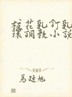 校花乳钉乳环蒂环调教小说h