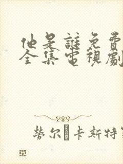 他是谁免费观看全集电视剧