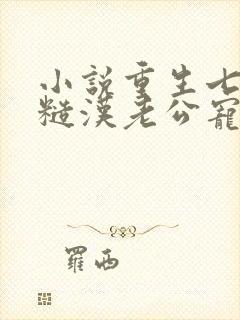 小说重生七零:糙汉老公宠妻成瘾小说