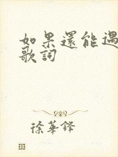 如果还能遇见你歌词
