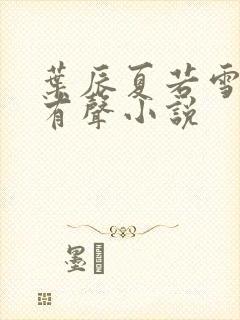 叶辰夏若雪免费有声小说