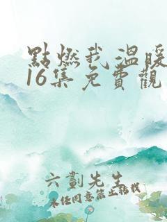 点燃我温暖你第16集免费观看