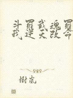 斗罗武魂罗三炮我逆天改命