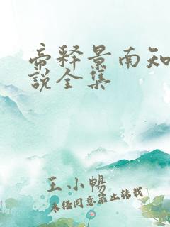 帝释景南知意小说全集