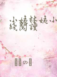 小姨林姨小说在线阅读