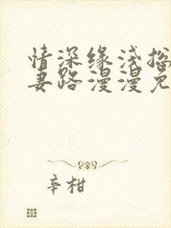 情深缘浅总裁追妻路漫漫免费阅读