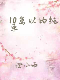 10万以内纯电车