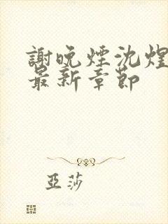 谢晚烟沈煜小说最新章节