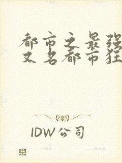 都市之最强狂兵又名都市狂枭